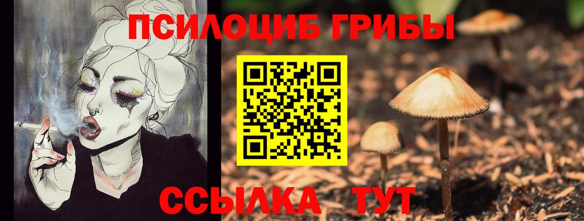 Галлюциногенные грибы Psilocybine cubensis  продажа наркотиков  Вятские Поляны  Вход с VPN  Псилоцибиновые грибы ЛСД 