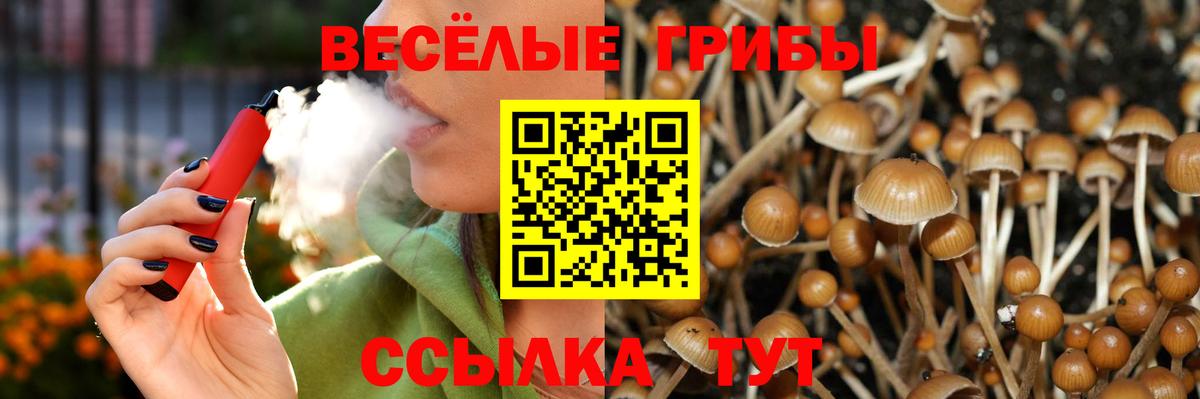 Псилоцибиновые грибы прущие грибы Вятские Поляны